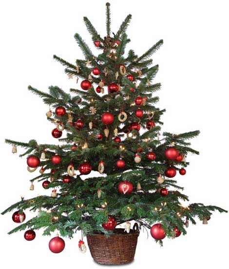 christmas-tree
